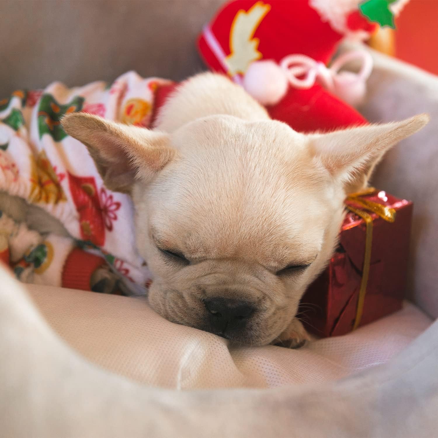 Small Dogs Christmas Outfit Soft Puppy Onesies Pjs Dog Pajamas Pet Coat Cat Apparel Comfy Doggie Jumpsuit Bodysuit for All Seasons P17S
