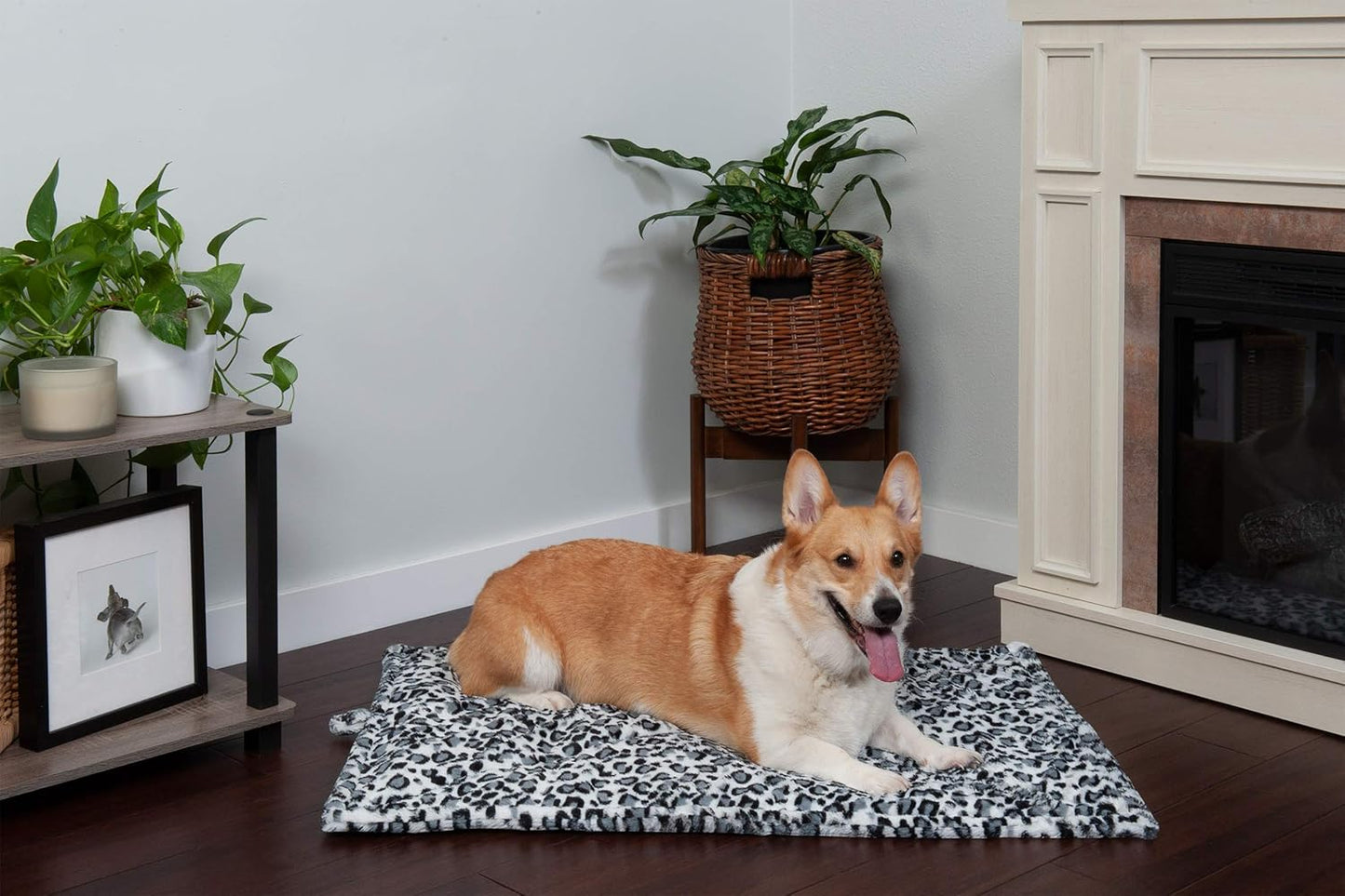Thermanap Self-Warming Cat Bed for Indoor Cats & Small Dogs, Washable & Reflects Body Heat - Quilted Faux Fur Reflective Bed Mat - Snow Leopard, Small