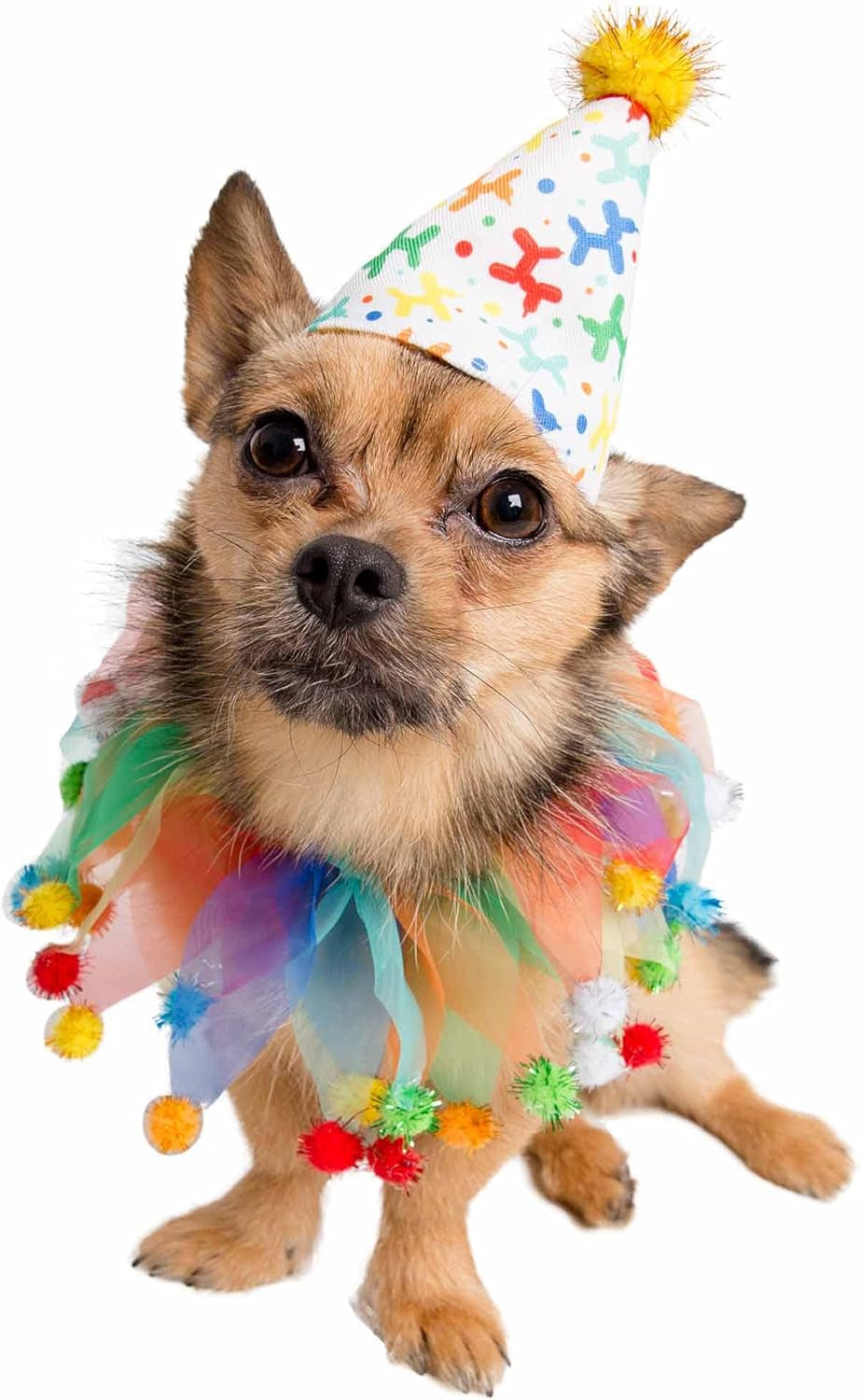 Dog Clown Costume Happy Birthday Hat & Collar Outfit | 1St Bday Party, National Cat Day, Photo Shoots & Celebrations | Doggie & Puppy Clothes | Ideal Gift for Small, Medium & Large Pets